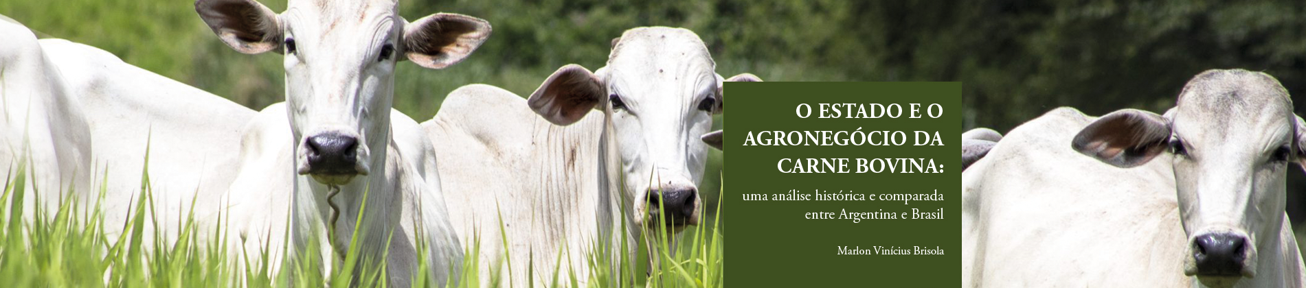 O ESTADO E O AGRONEGOCIO DA CARNE BOVINA: UMA ANALISE HISTORICA E COMPARADA ENTRE ARGENTINA E BRASIL