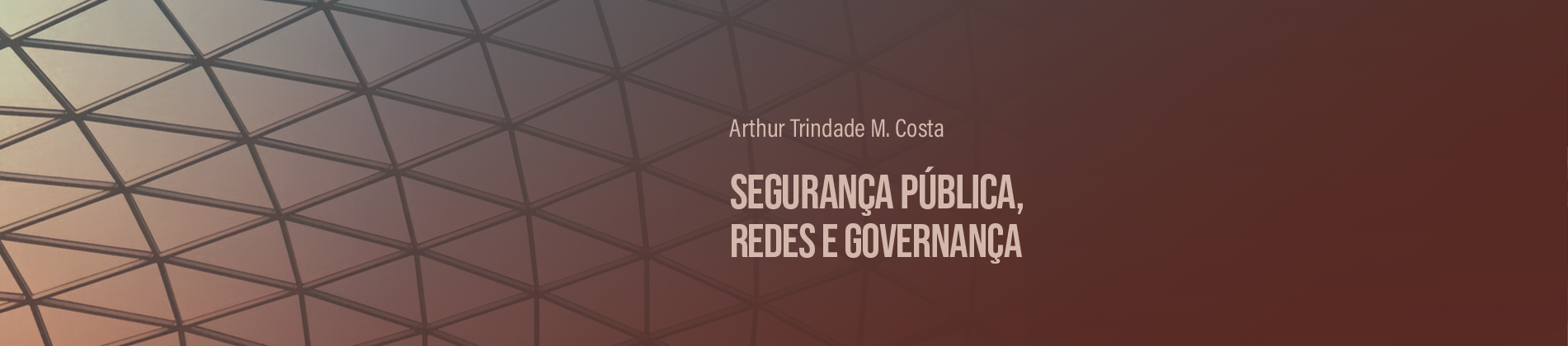 SEGURANÇA PÚBLICA REDES E GOVERNANÇA